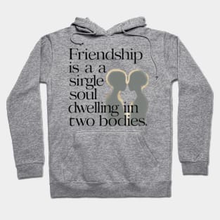 Friendship is a single soul dwelling in two bodies. Hoodie